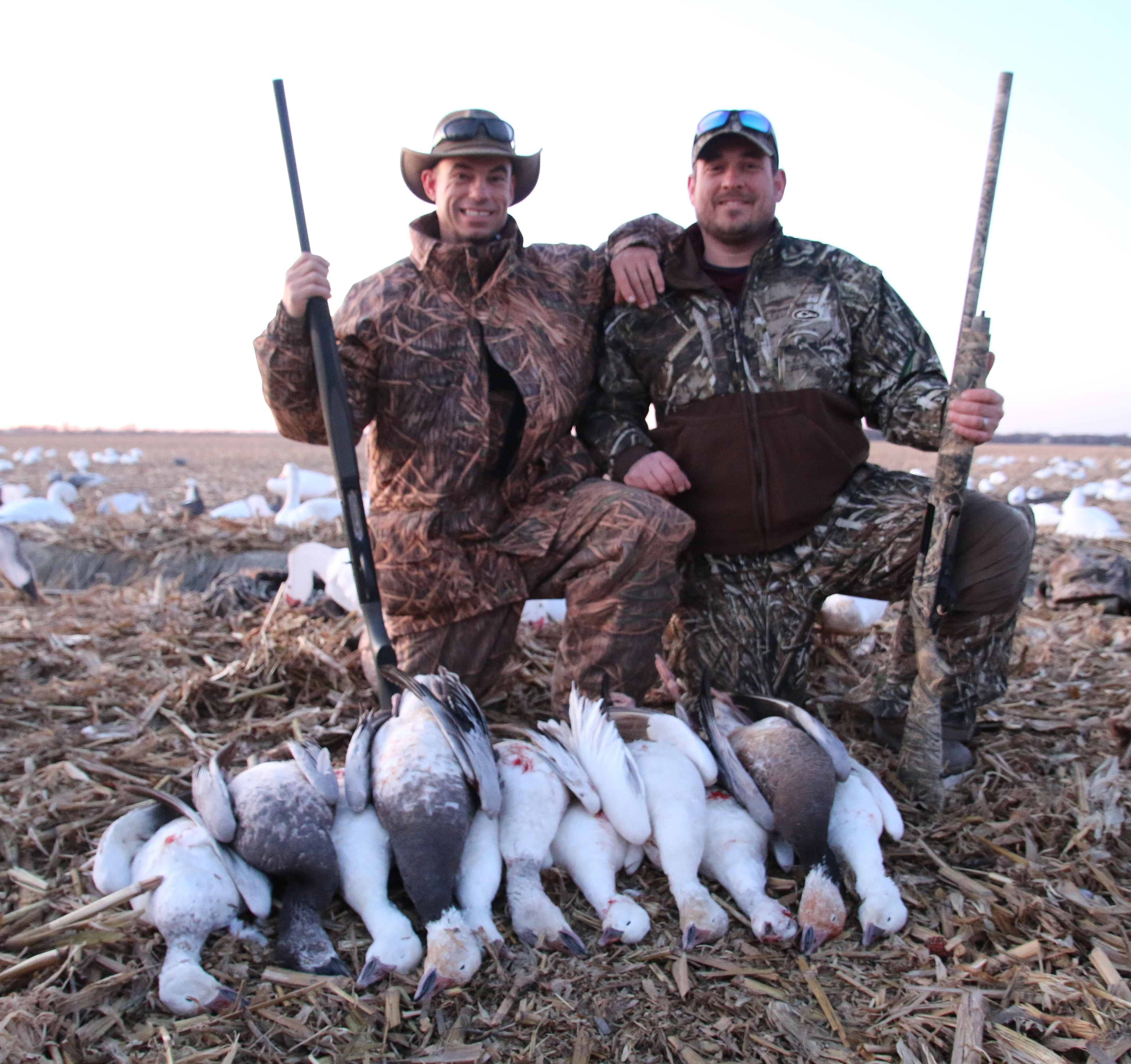 Spring Snow Goose - Fully Guided Hunts - 855-473-2875